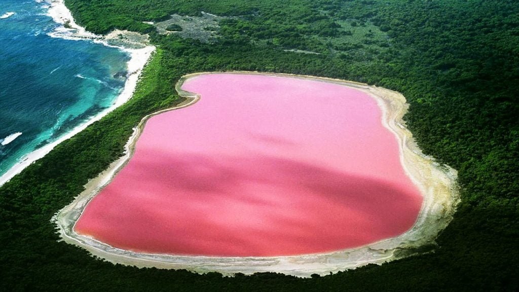 natural pink lake 1