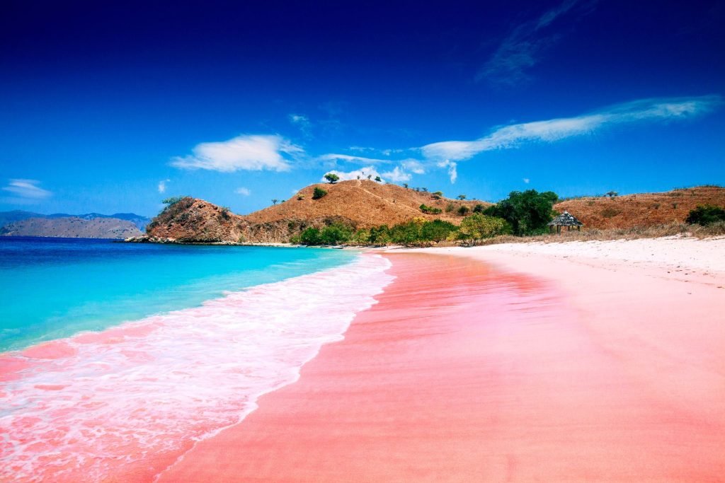 pink beach komodo island royalty free image 993367800 1561711107
