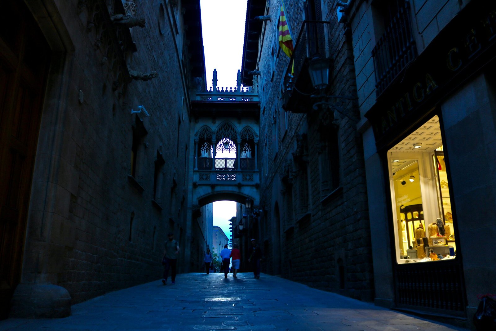 ¿Qué hacer hoy en Barcelona? 5 Experiencias Top Imprescindibles en la Ciudad Condal con Wine Gogh 3 Wine Gogh