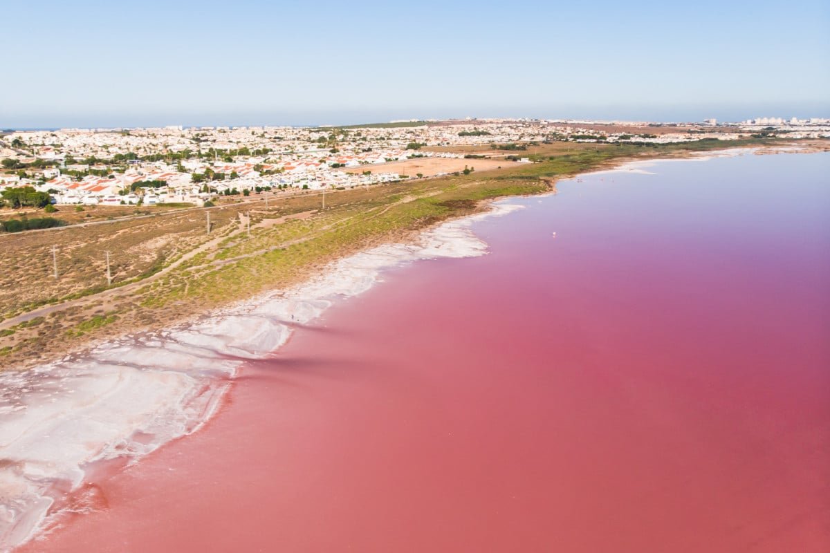 La Laguna Rosa Torrevieja: 1 Tesoro Natural Único en España 3 Wine Gogh