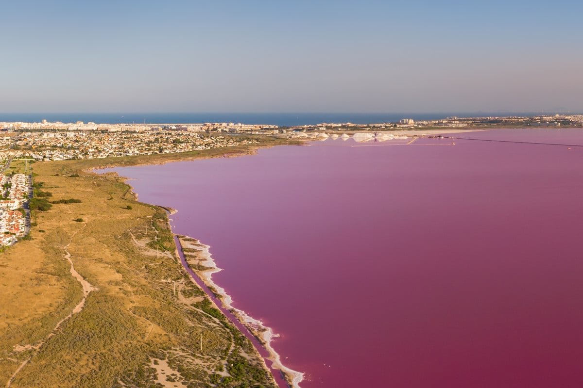 La Laguna Rosa Torrevieja: 1 Tesoro Natural Único en España 2 Wine Gogh