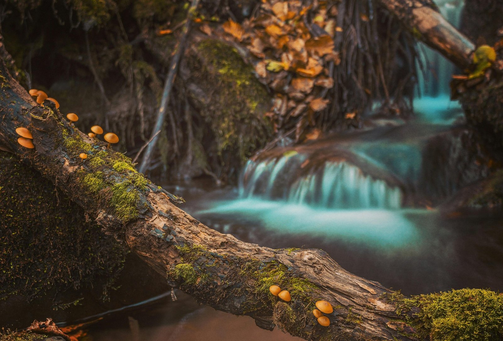 Cascadas Malaga; Explora las 5 Impresionantes Cascadas Top de Málaga y Sus Alrededores 2 Wine Gogh