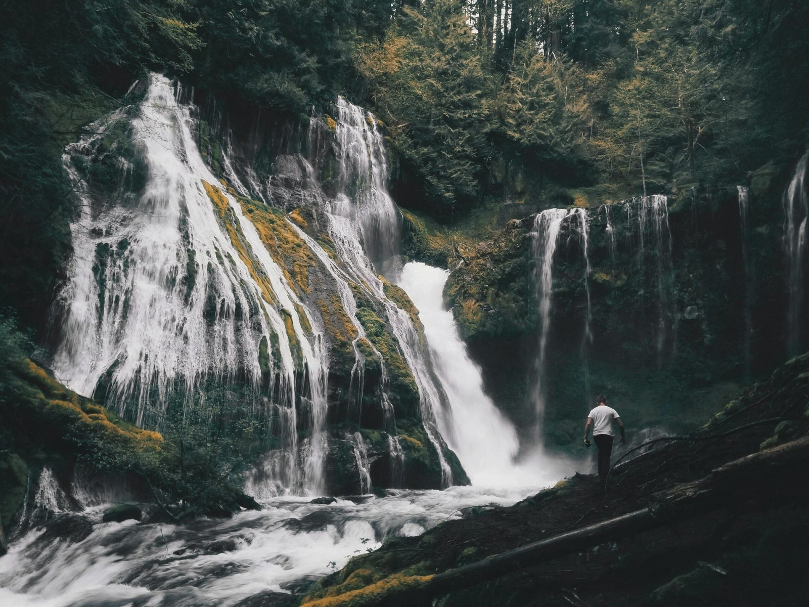 Cascadas Malaga; Explora las 5 Impresionantes Cascadas Top de Málaga y Sus Alrededores 5 Wine Gogh