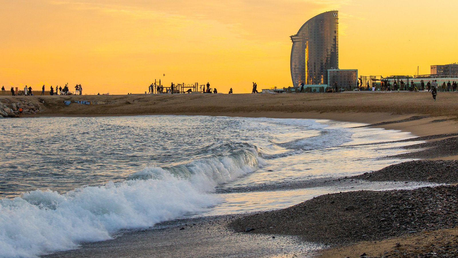 7 Planes Para Pasar Tiempo en Barcelona 5 Wine Gogh