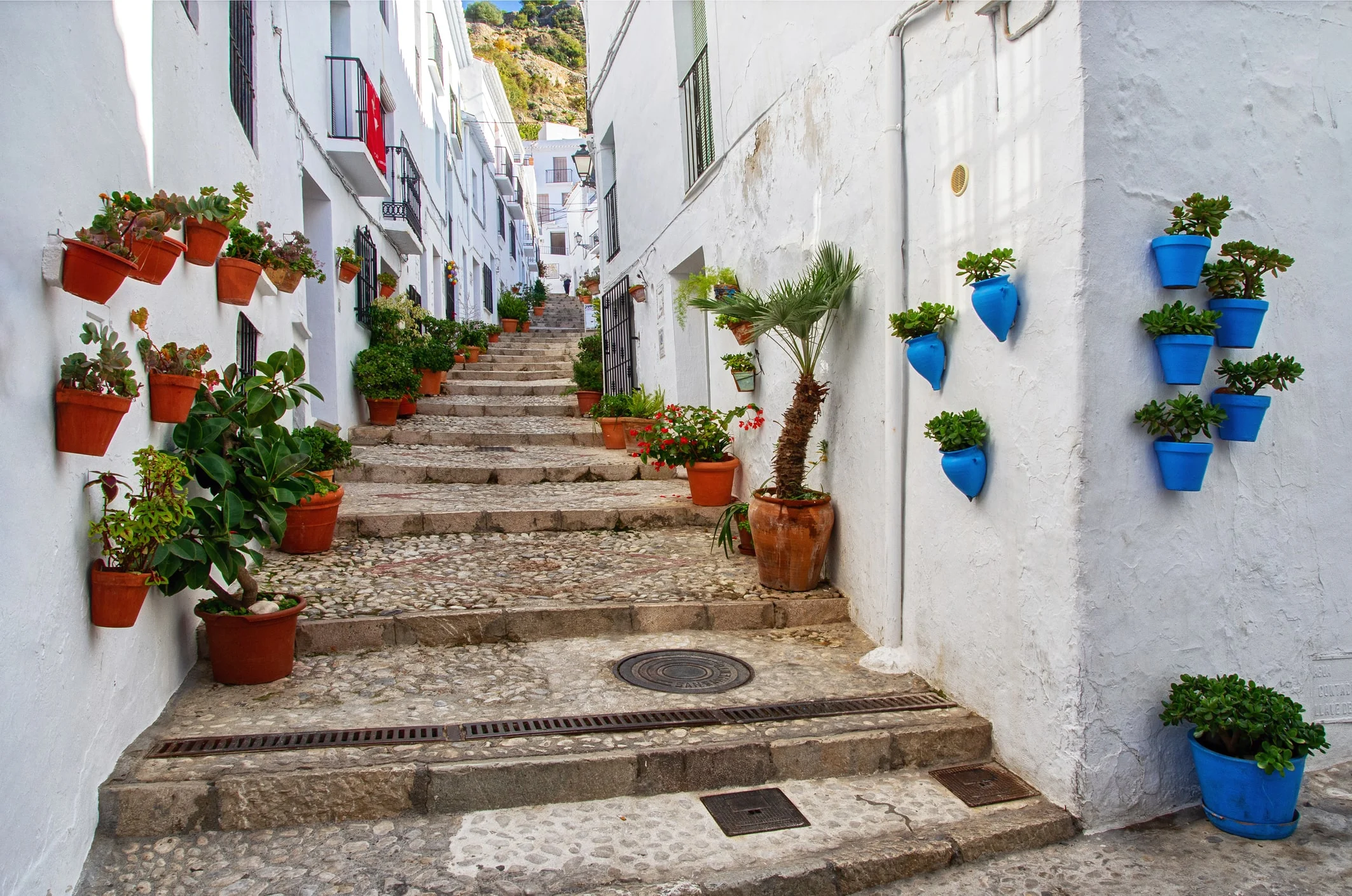 Frigiliana: 1 Encanto en el Corazón de Andalucía 3 Wine Gogh