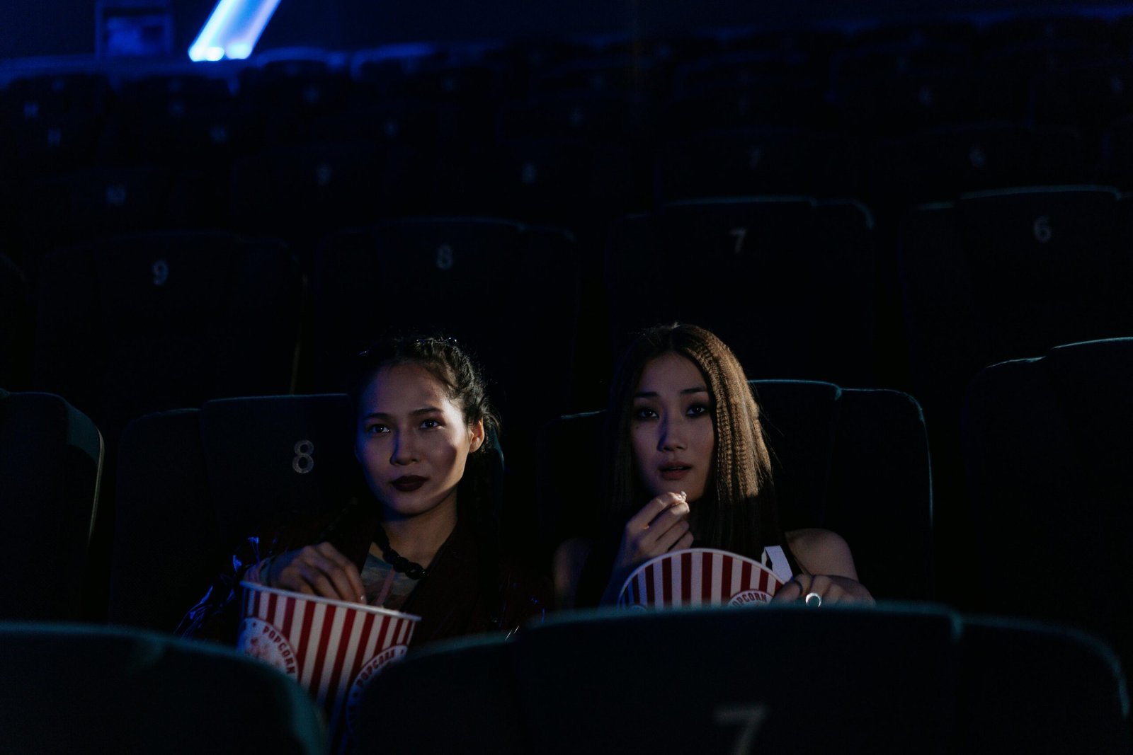 Cine de Verano Malaga; Disfruta del Cine de Verano en Málaga con Las Mejores 5 Opciones al Aire Libre Top 3 Wine Gogh