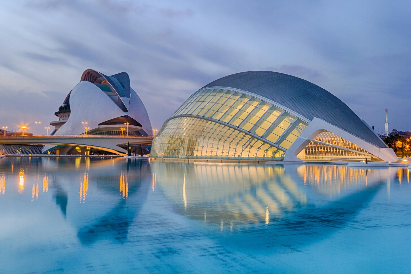 Planes Nocturnos en Valencia: Una Experiencia Sensorial desde Wine Gogh hasta los Rincones Más Emblemáticos Top 7 5 Wine Gogh