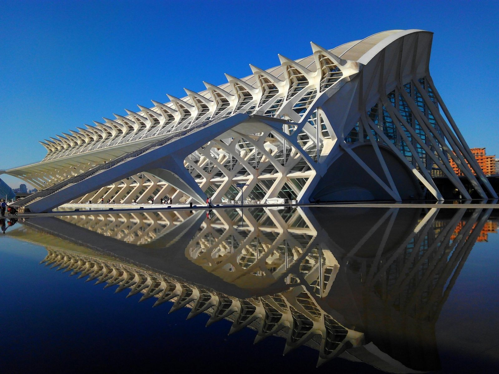 Fin de Semana Valencia; Descubre Valencia Fin de Semana de Arte, Gastronomía y Diversión con Wine Gogh Top 7 3 Wine Gogh
