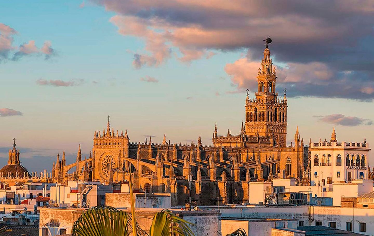 Amigos Sevilla: 5 Planes para Hacer 1 amigos sevilla