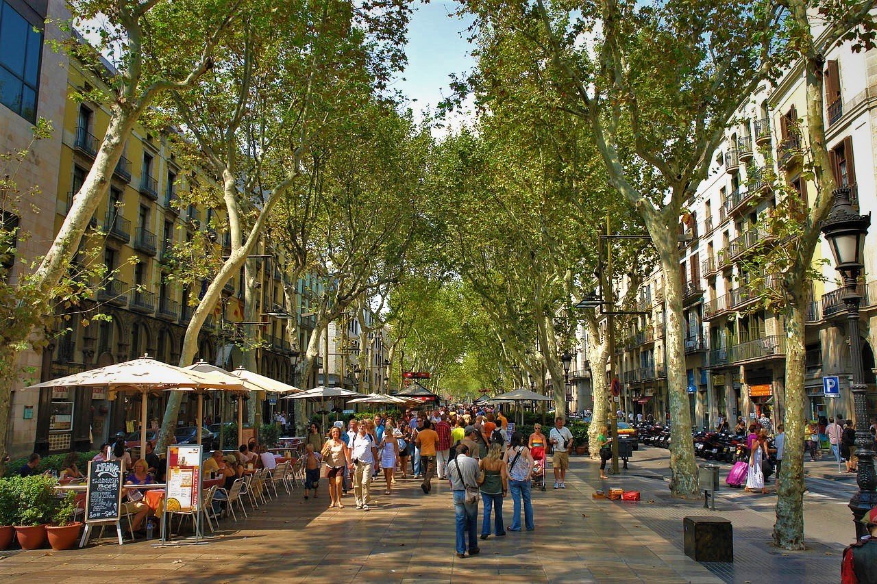 Qué Visitar en Barcelona: 10 lugares imperdibles 2 Wine Gogh