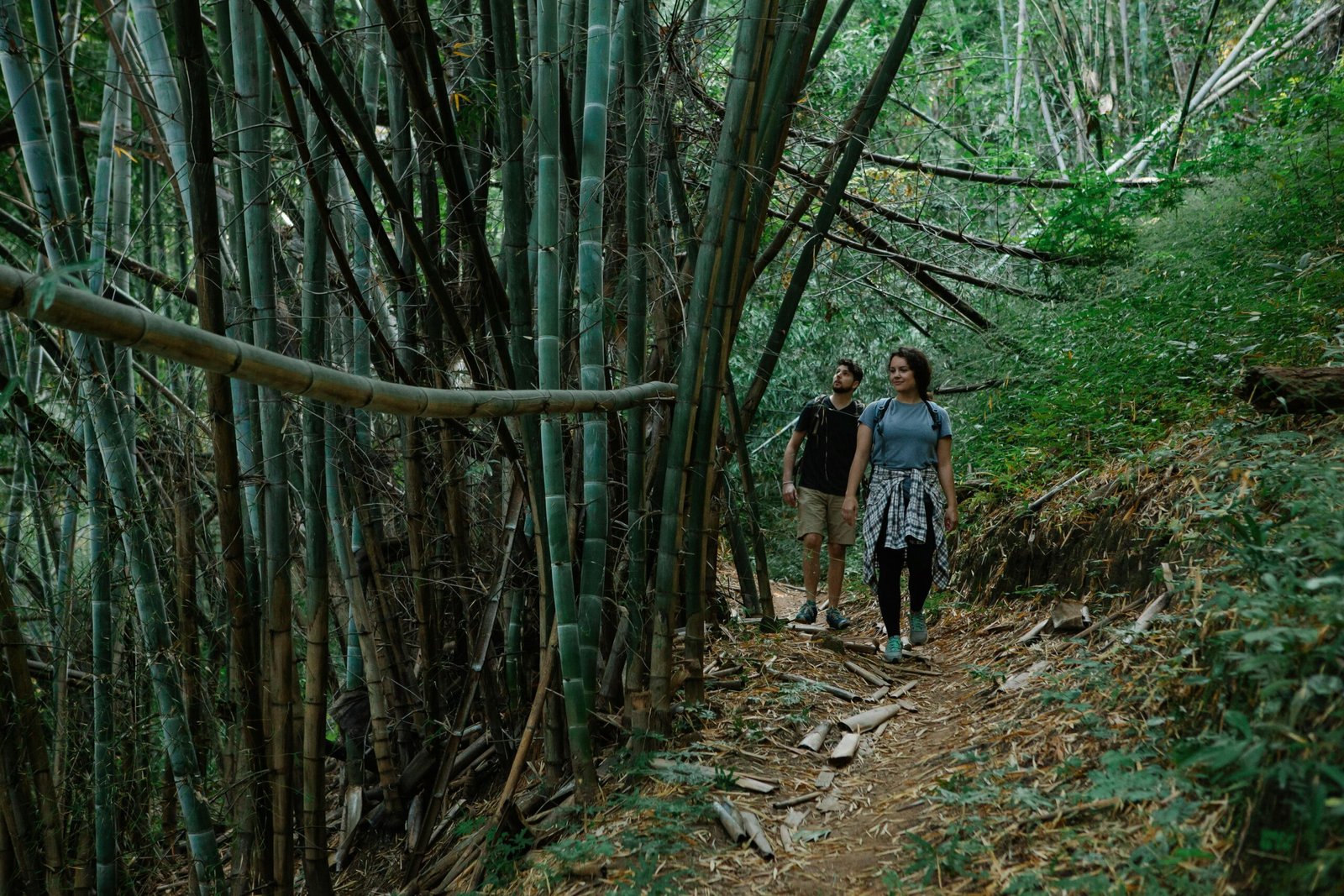 Senderismo y Naturaleza en Malaga