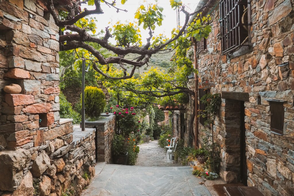 8 Recomendaciones de Pueblos Bonitos de Madrid 3 Wine Gogh