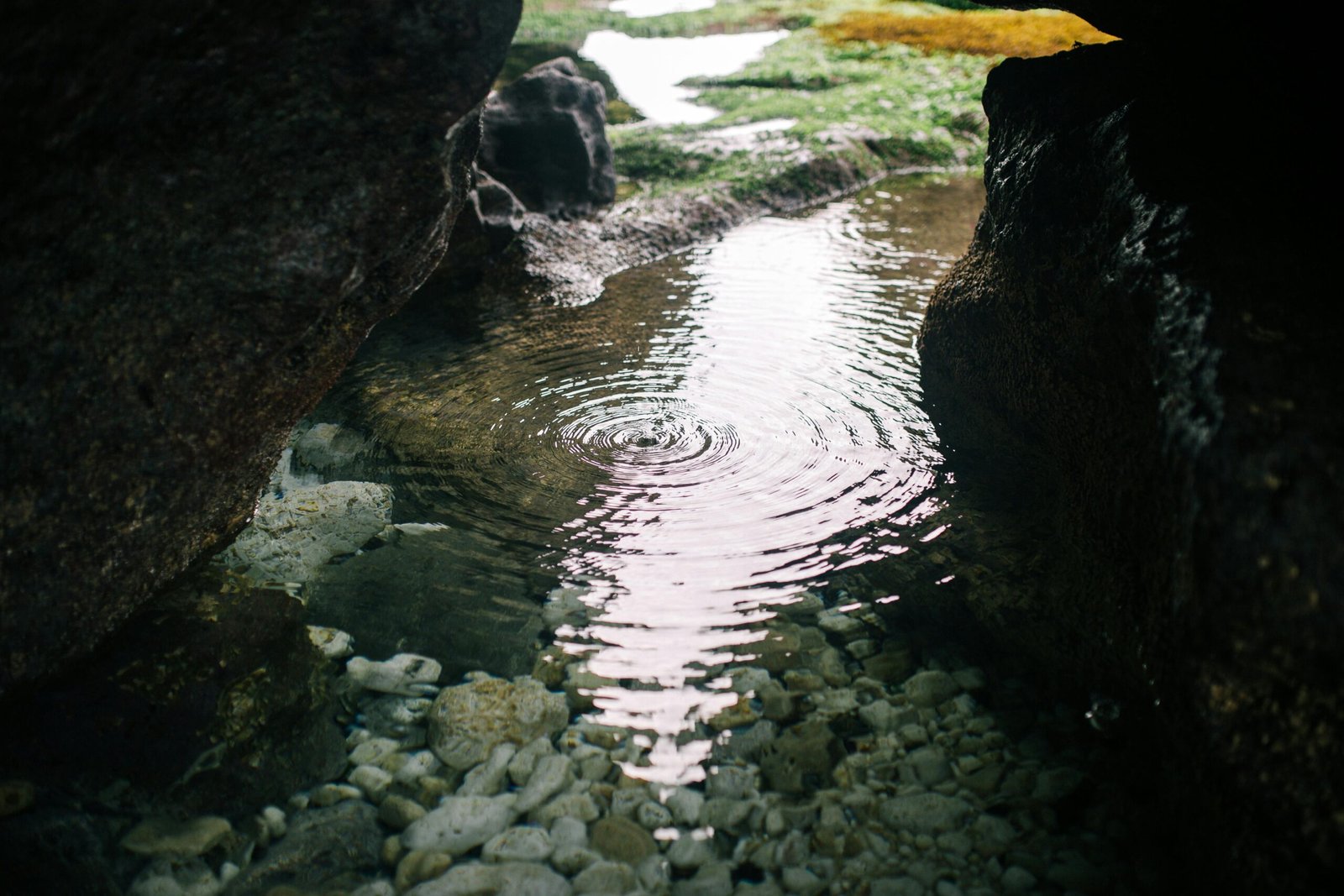 Piscinas Naturales Sevilla