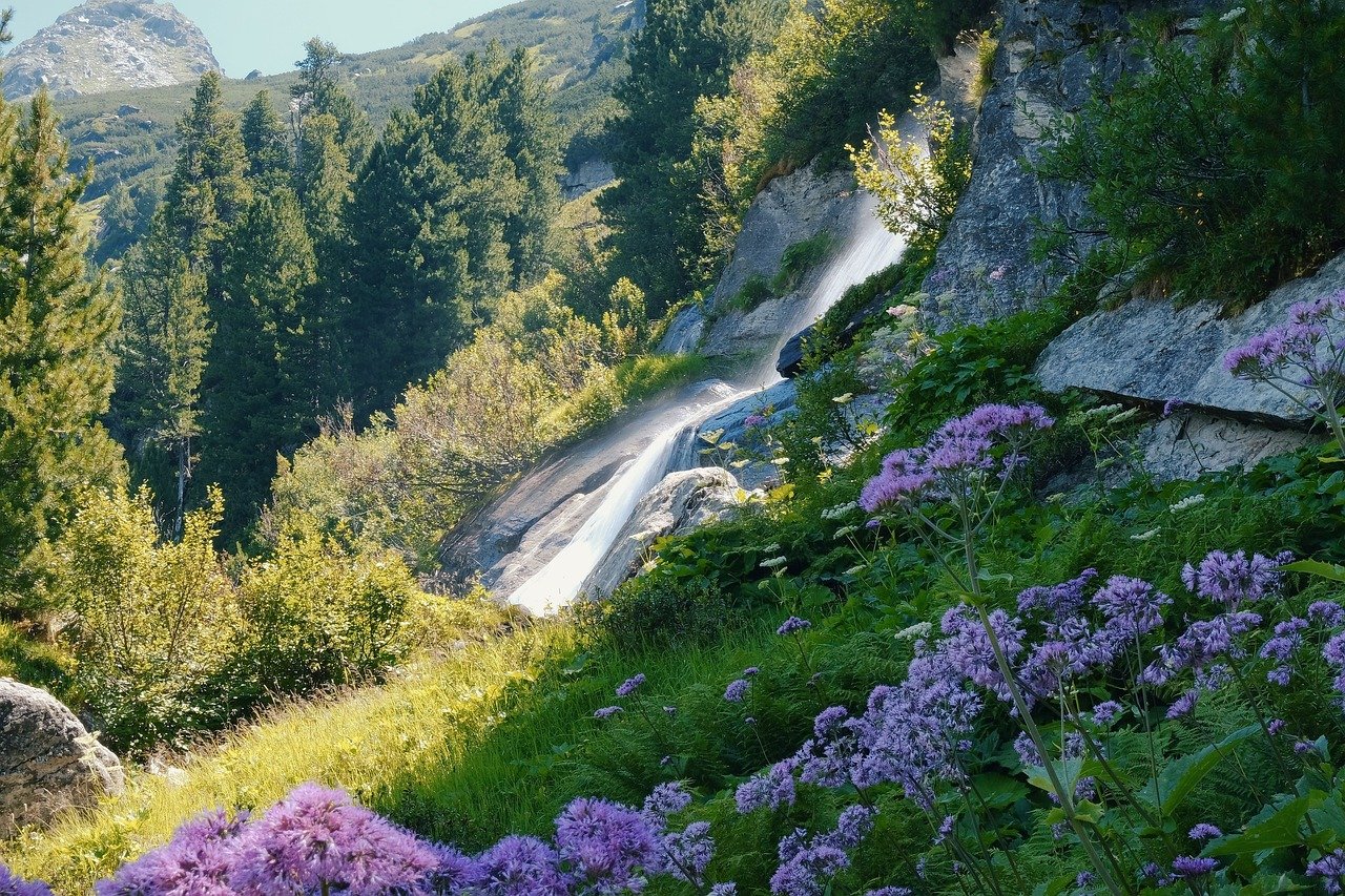Planes para hacer con amigos en Madrid; 5 Experiencias Inolvidables para Disfrutar con Amigos en Madrid 4 waterfall 7344396 1280