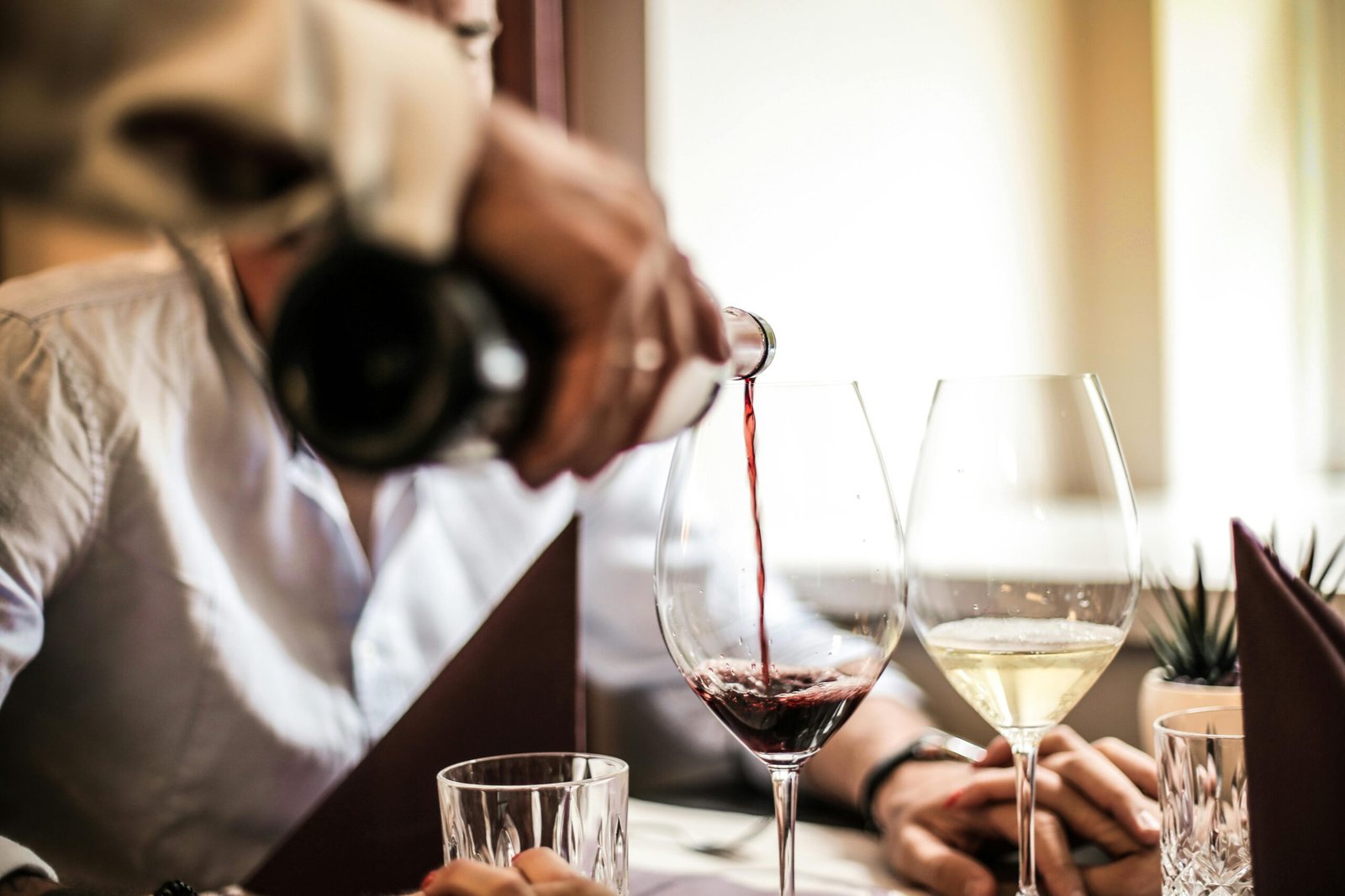 Donde disfrutar un vino en Malaga: 4 Lugares Excepcionales para Disfrutar del Vino en Málaga 3 Winegogh