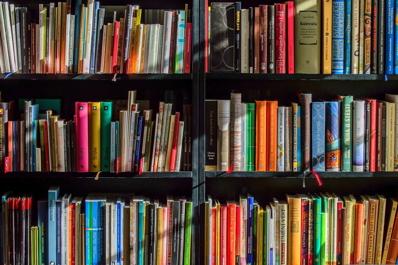 Librerías Cerca de Mí en Valencia: 1 Guía Completa para Amantes de los Libros 2 Wine Gogh