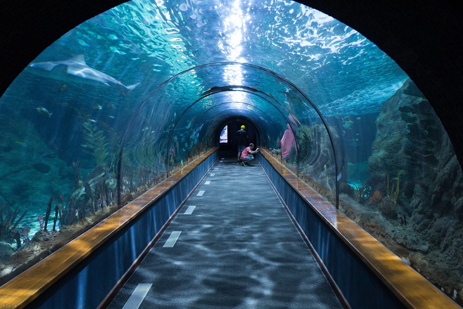 Acuario de Barcelona: 1 Guía Completa para una Visita Inolvidable 1 acuario de barcelona
